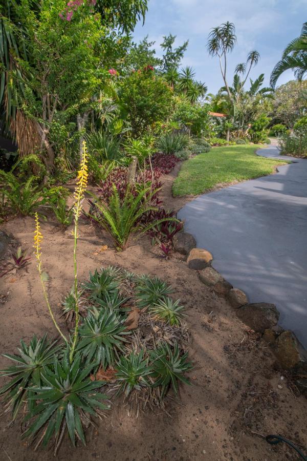 Elephant Coast Guesthouse Saint Lucia Estuary Exterior foto